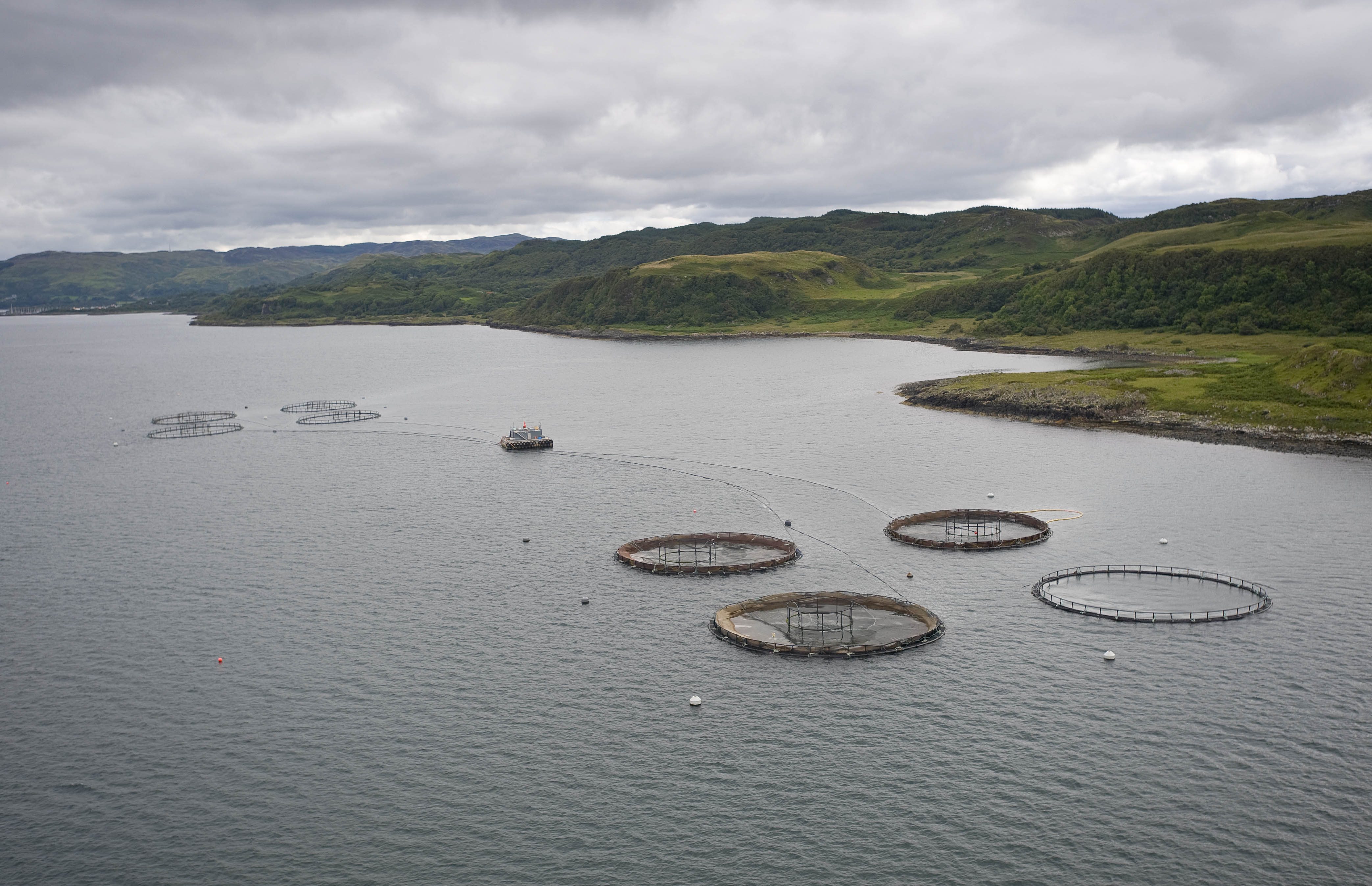 Fishermen denounce Scottish “expansion”