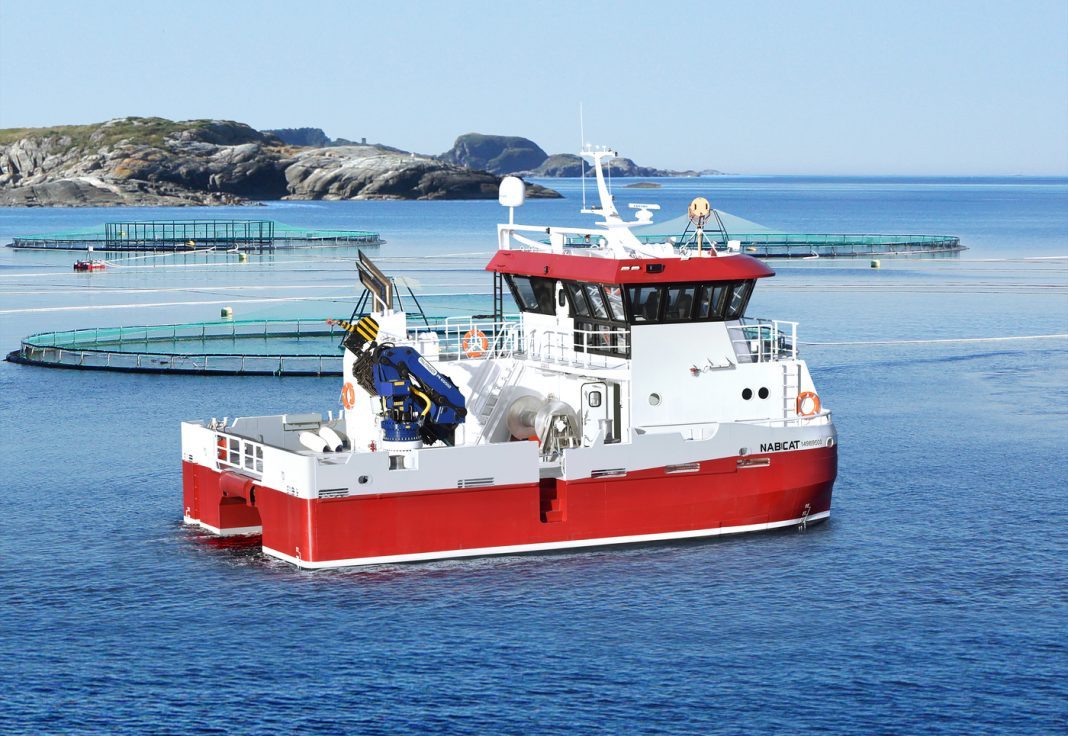 johnson marine orders ‘largest vessel yet’ from moen marin