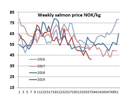 High Forward Prices Despite The Spot Price Slump High Forward Prices Despite The Spot Price Slump