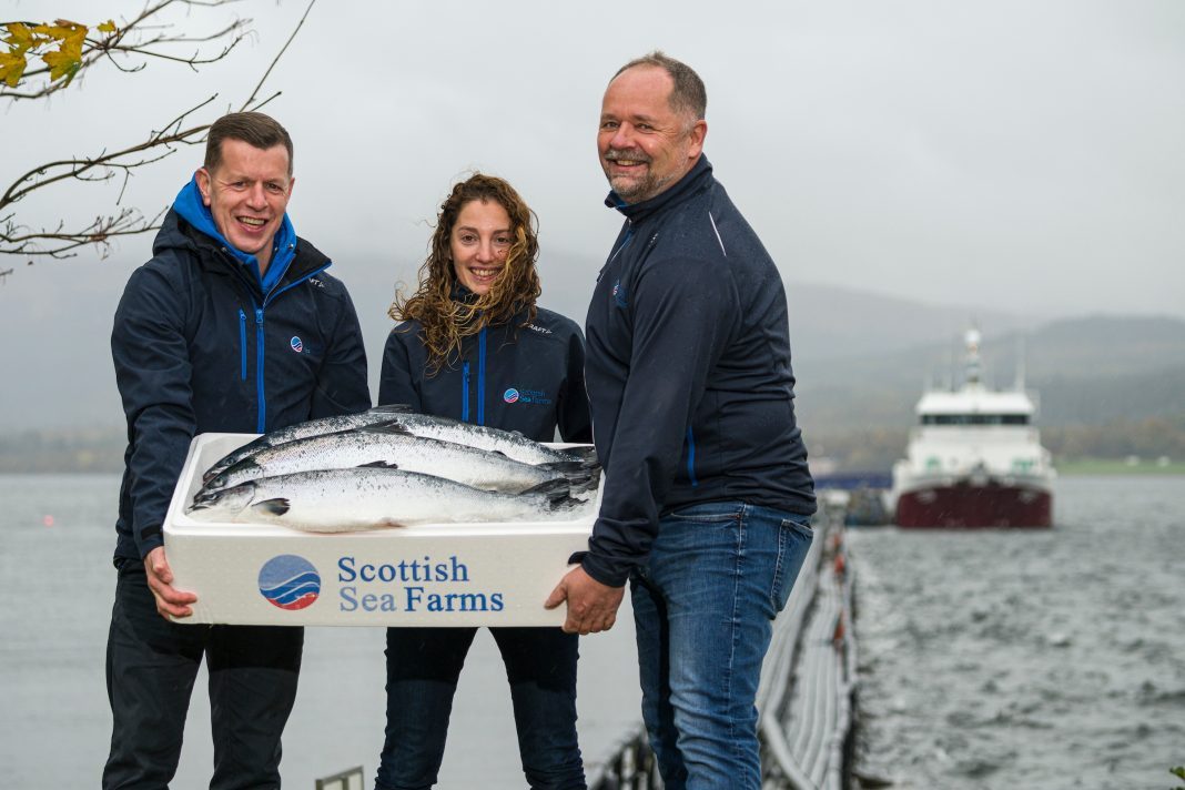 Scottish Sea Farms First Ras Grown Salmon Reach Market Fish Now