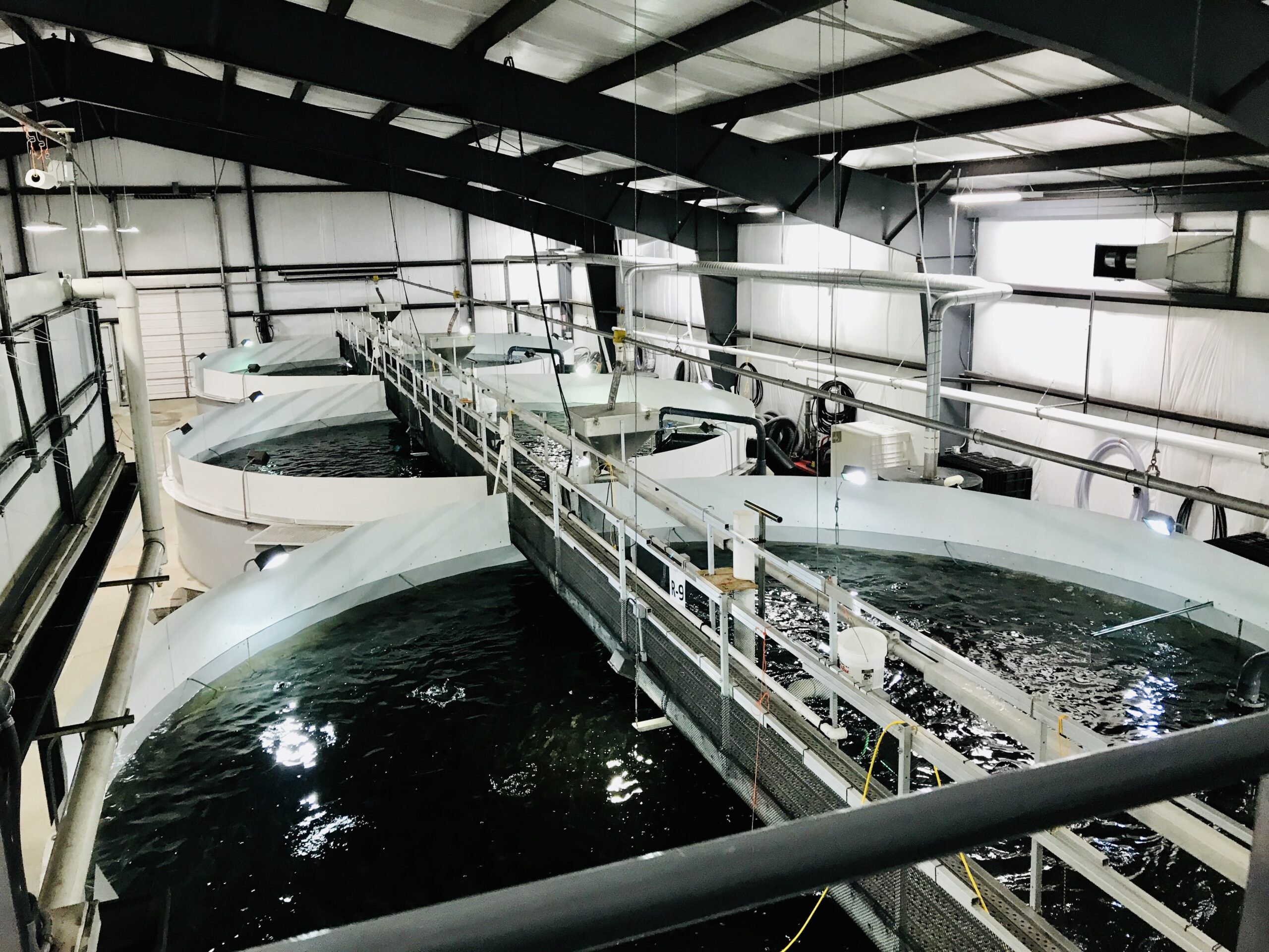 Cooke Aquaculture says it was blindsided by Washington State decision ...